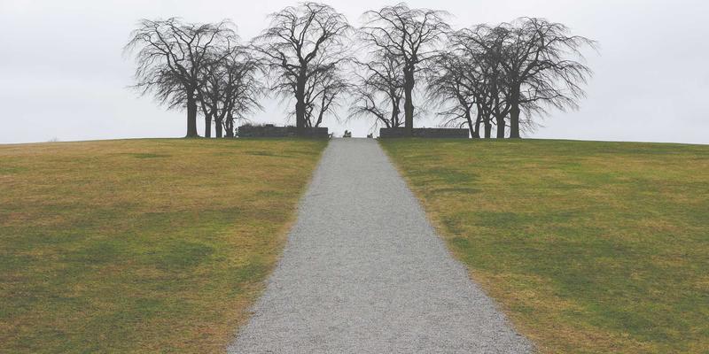 义乌小商品一件代发全攻略:三大平台深度对比与5步筛选靠谱供应商