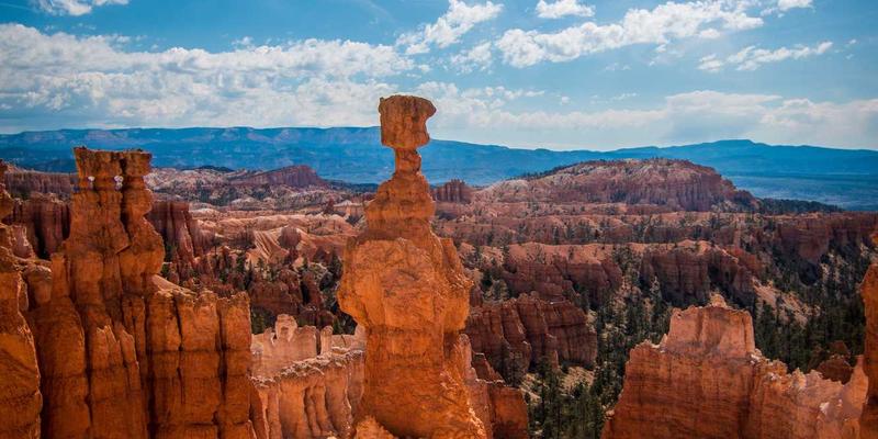 义乌小商品批发69:揭秘一件代发与电商供应链的财富密码