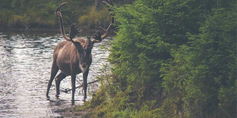 义乌小商品批发市场社群拼单全攻略：中小卖家如何抱团取暖，以团购价撬动源头厂家资源