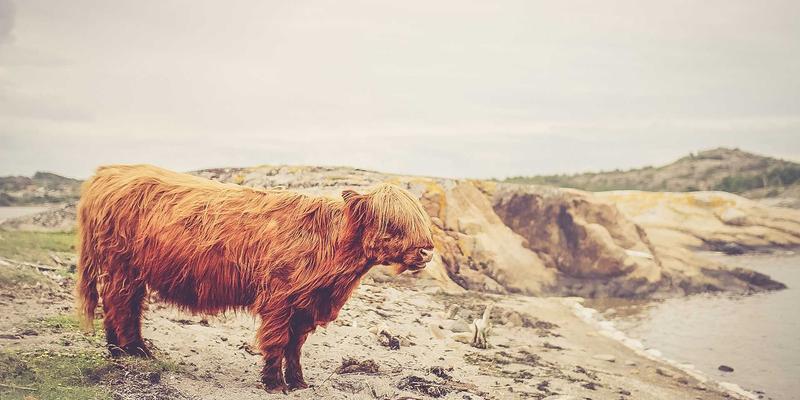 义乌小商品批发终极攻略:电商货源与一件代发(众天奇深度解析)