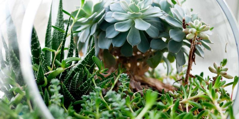 从义乌小商品到全球货架:揭秘众天奇电商供应链的出海全流程与清关实战