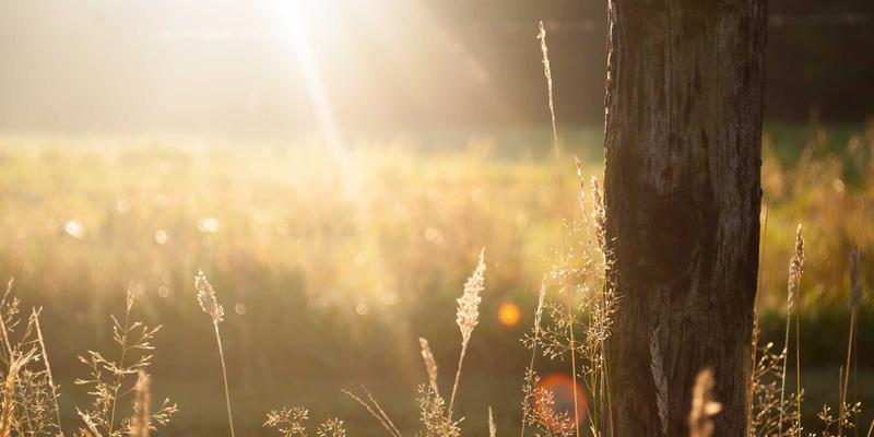 从“货”到“品”的蜕变:揭秘义乌小商品包装定制如何引爆电商销量