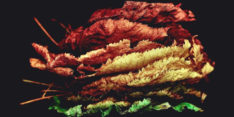 掘金2024:义乌小商品批发三大热门品类深度解析(饰品、家居、玩具)