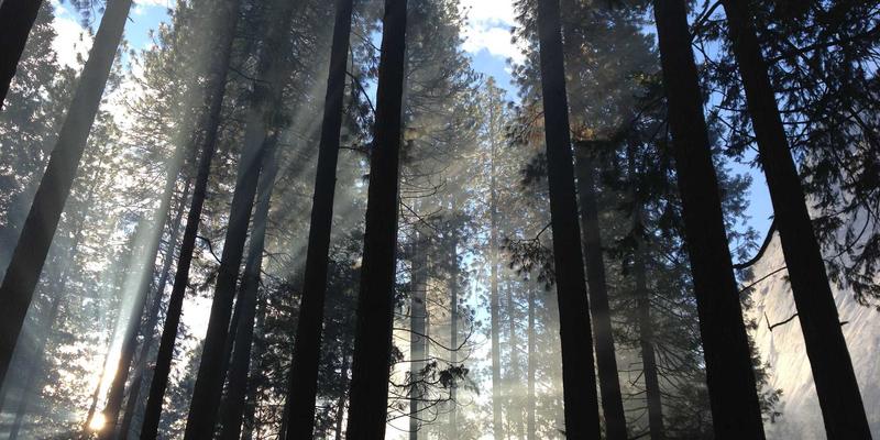 掘金电商蓝海:揭秘义乌小商品批发73与电商货源新机遇