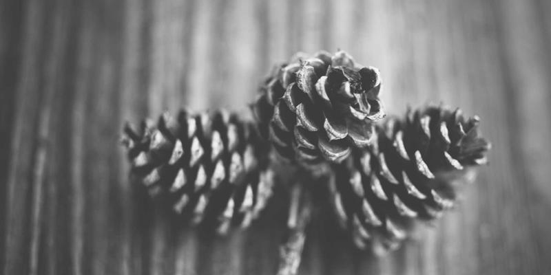 掘金电商蓝海：揭秘义乌小商品批发88的货源密码与一件代发实战指南