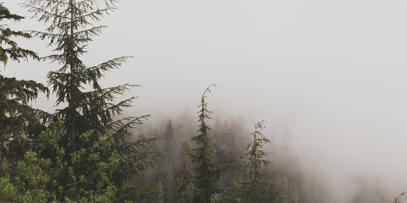 揭秘义乌小商品采购新策略：线下看样+线上代发，如何实现高效省钱双赢？