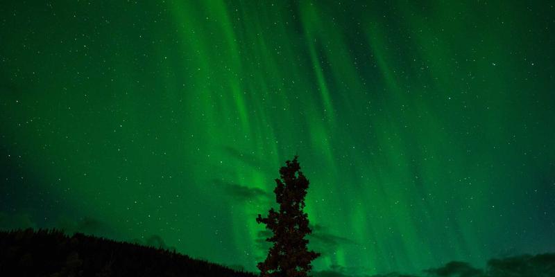 跨境电商卖家必读：如何高效采购义乌小商品并破解物流难题